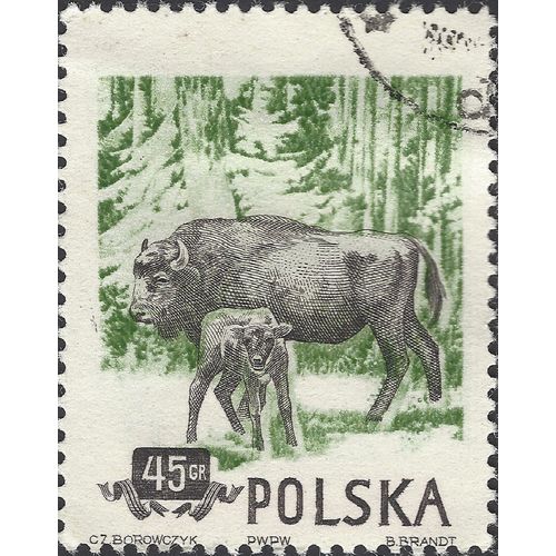 POLAND, MAMMAL, Bison, green 1954, 45gr