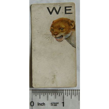 1929 Wills cigarette card Animalloys No. 43
