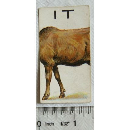 1929 Wills cigarette card Animalloys No. 41