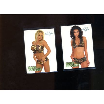 BOBBI BILLARD 2003 BENCH WARMER VERY SEXY & HOT Boot Camp Card #285 NM