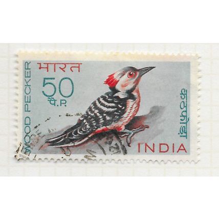 INDIA 1968 BIRDS BROWN FRONTED PIED WOODPECKER 50P USED SG579 579 SG