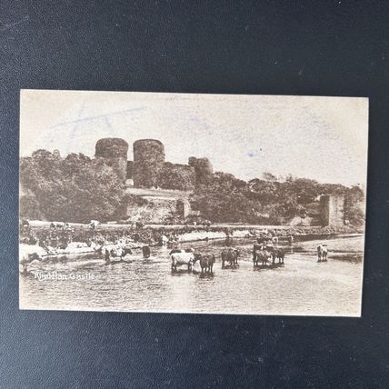RHUDDLAN CASTLE Unposted RAE PICKARD RHYL cattle in the river Postcard GC