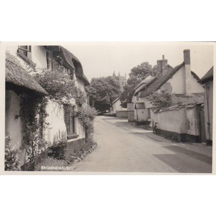 B504 BROADHEMBURY.- POSTCARD SIZE PHOTO