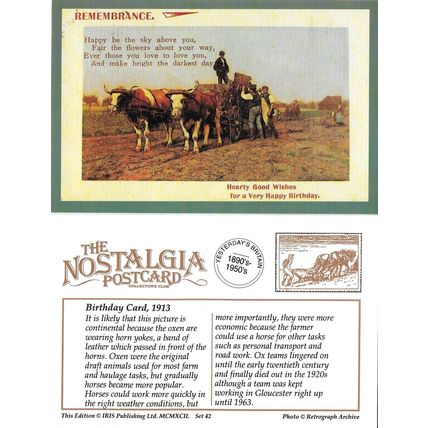 Postcard Oxen Birthday Card 1913 Farm Ox Team - Nostalgia