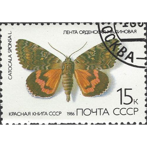 USSR, BUTTERFLY, Catacola Sponsa, white 1986, 15k
