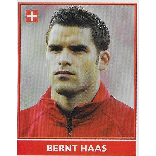 Merlin's ENGLAND 2004 Stickers: No.223 - Switzerland's Defender: Haas