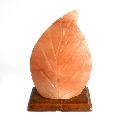 Salt Lamp Fern Shape