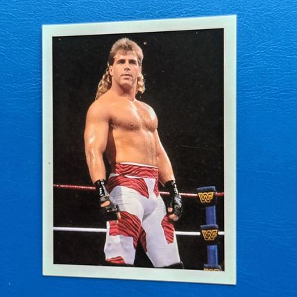 SHAWN MICHAELS MERLIN WWF 1992 - ROOKIE STICKER #242