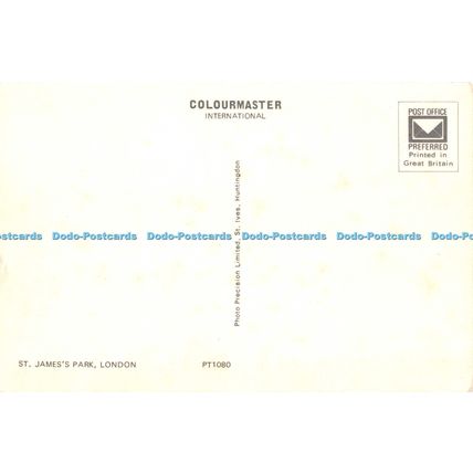 D028401 St. James Park. London. Colourmaster International. Precision