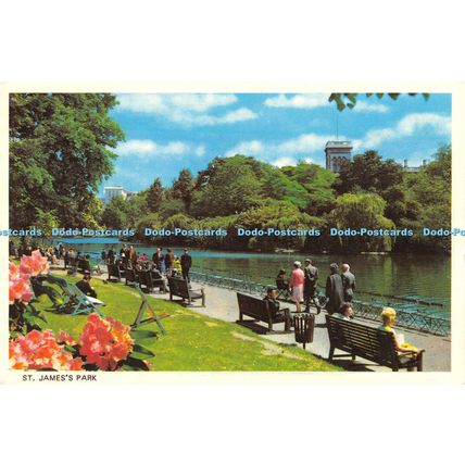 D028401 St. James Park. London. Colourmaster International. Precision