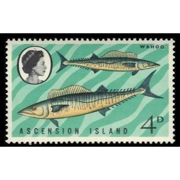 Ascension QEII 1970 Fishes 4d Wahoo Unmounted Mint NHM SG 126 Sc 130 stamp