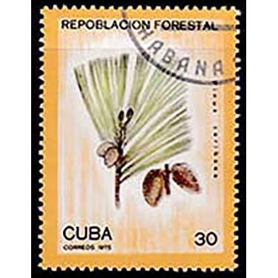 Cuba 1975 Forest Campaign 30c Used Stamp Fern