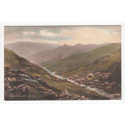 Tavy Cleave Dartmoor Postcard Devon Frith's Series