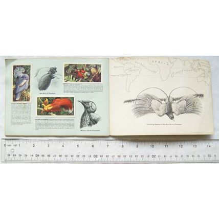 Complete set 50 Brooke Bond Tropical Birds in album
