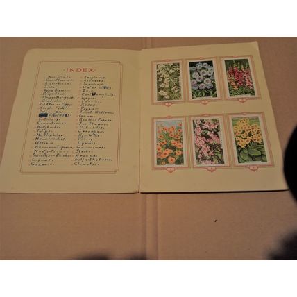 set of gallghers cigarette cards stuck in album garden flowers 1938