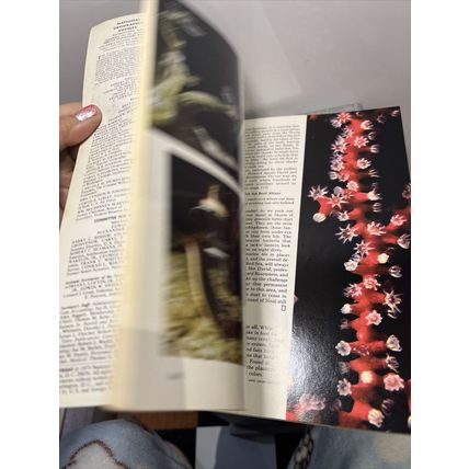 National Geographic Magazine September 1975 Red Sea Reefs - Vintage Collectable