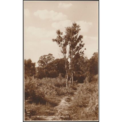 On Epsom Common, Surrey, 1935 - Judges RP Postcard