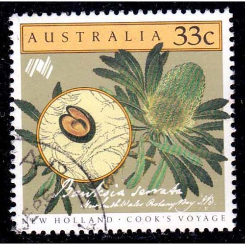 Australia 1986 Cook's Voyage 33c Used Stamp. Flower Banksia
