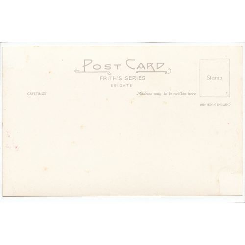 Bere Regis The Church Roof Dorset RP Postcard 38