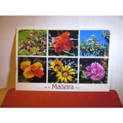 multiview, flowers of MADEIRA, PORTUGAL used postcard 2006 pm =