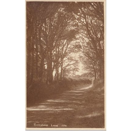 Tennysons Lane Freshwater Isle Of Wight Postcard (QIOW0296)