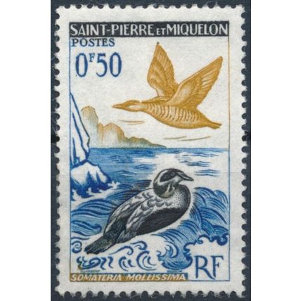 Birds: 50c - St Pierre & Miquelon 1963 - MNH - MiNr 398