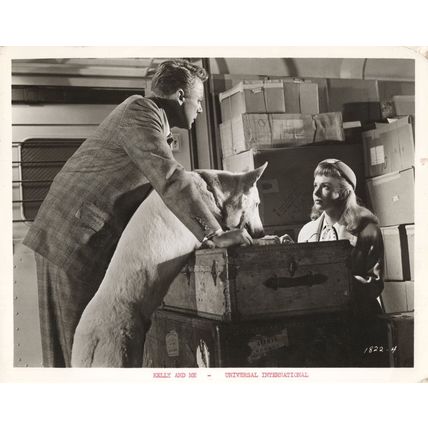 Kelly & Me Film Piper Laurie Van Johnson Performing Dog Movie Large 10x8 Vintage