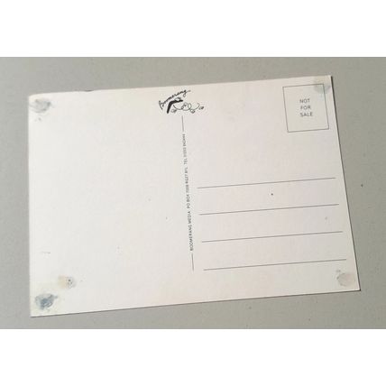BOOMERANG POSTCARD (eye) :