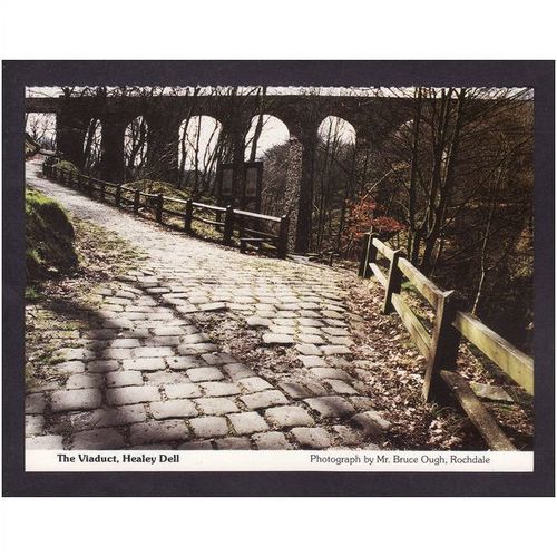 ROCHDALE POST CARD - THE VIADUCT, HEALEY DELL .- NICE COLOURED PHOTO UNUSED