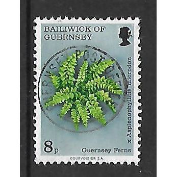 GUERNSEY 1975 GUERNSEY FERN 8p QUILLWORT SG 124 FINE USED