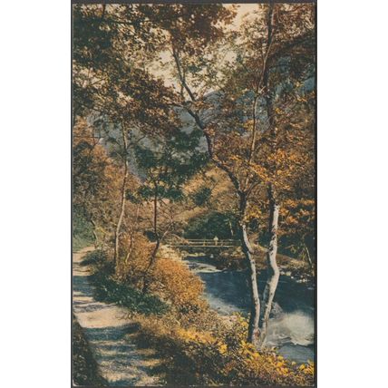 The Woodland Bridge, c.1910s - Photochrom Postcard