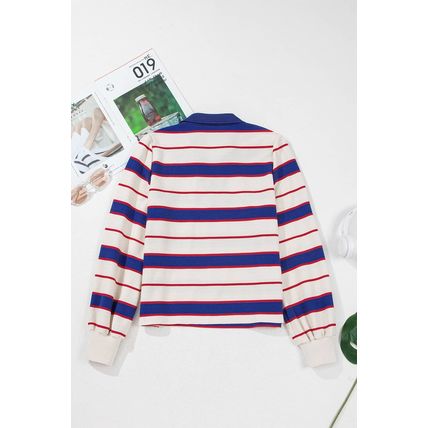 Blue Stripe Color Block Polo Pullover Sweatshirt