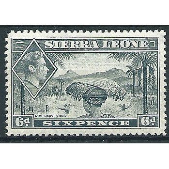 Sierra Leone 1938 SG195 6d Grey Mounted Mint ... .