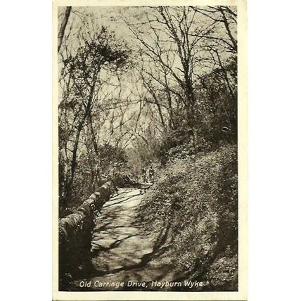 Yorkshire HAYBURN WYKE Old Carriage Drive Postcard (T.H. Spence)