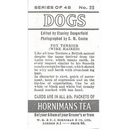 Dogs 1961 Hornimans Tea Card 22 - Fox Terrier (Wire Haired)