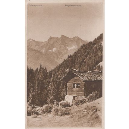 Bifertenstock Brigelserhorner Old German Postcard