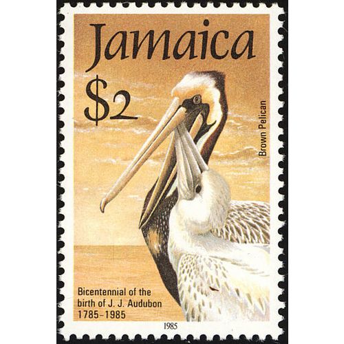 Jamaica QEII 1985 John Audubon $2 Pelican Unmounted Mint NHM SG622 Sc597 stamp