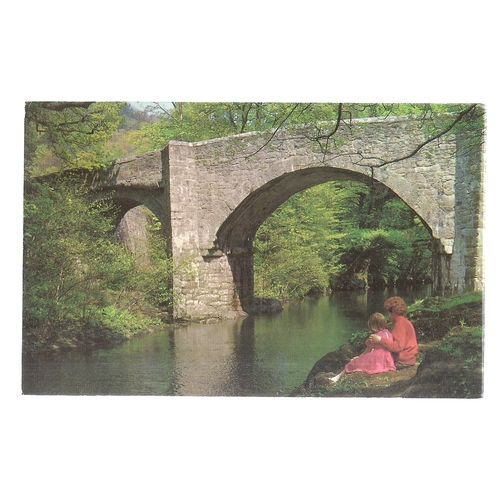 HOLNE BRIDGE DARTMOOR vintage unused postcard =