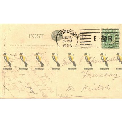 Tower Bridge, London, Rare Boots Chemists, Postcard, 1906