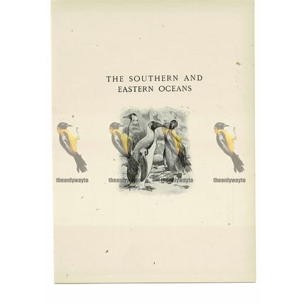 Penguins, Animal Book Illustration (Print), c1916