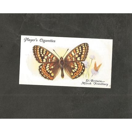 Cigarette Card Players Butterflies 1932 #9 Marsh Fritillary