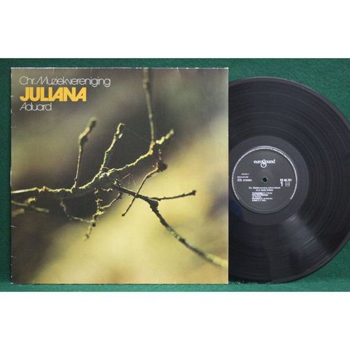 Juliana Aduard Chr.Muziekvereniging/Walk  e Hofstee - Brass Band - ES 46.721 - EX