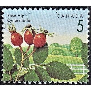 CANADA, 1991 5c Rose Hip, SG 1463 (Scott #1352), used