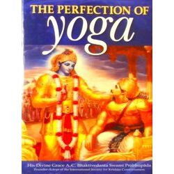 The Perfection Of Yoga