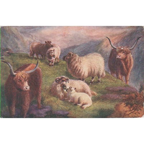 GB circa 1905 Wyatt & Sons Butchers advertising card see my other listings