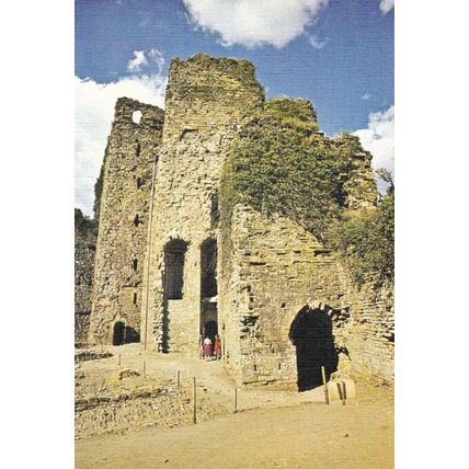 Chateau Talmont St Hilaire Le donjon France Postcard unused VGC