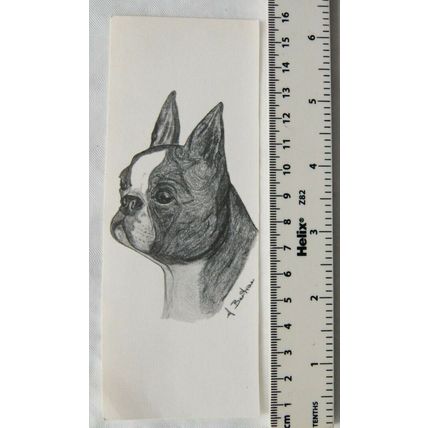 Bookmark - drawing of a dog by A. Bartram - French Bulldog ?