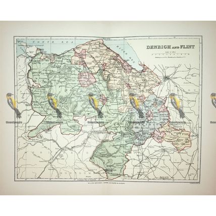 Denbigh & Flint, Wales, Map, Book Illustration, 1895
