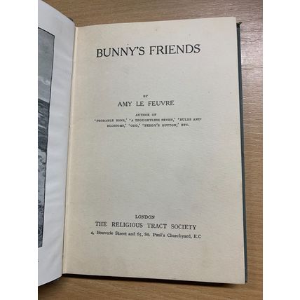 RARE* c1920s AMY LE FEUVRE "BUNNY'S FRIENDS" FICTION ILLUSTRATED BOOK (P3)