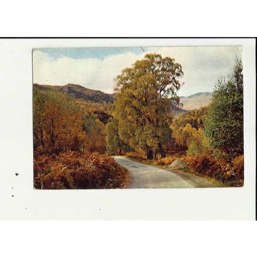 Inverness-shire GLEN CANNICH Postcard by J. Arthur Dixon (3781)